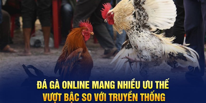 Đá gà online mang nhiều ưu thế vượt bậc so với truyền thống